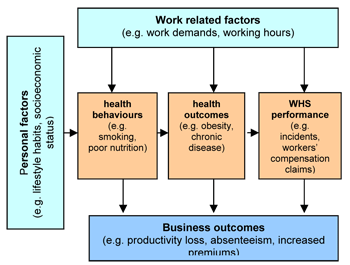 Healthy worker diagram
