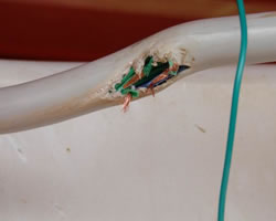 Photo 3. Control wires damaged by chaffing
