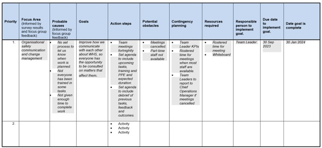 Example of the Action Plan template 
