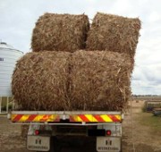 Bales transported on their sides or inadequately secured can move while being transported.